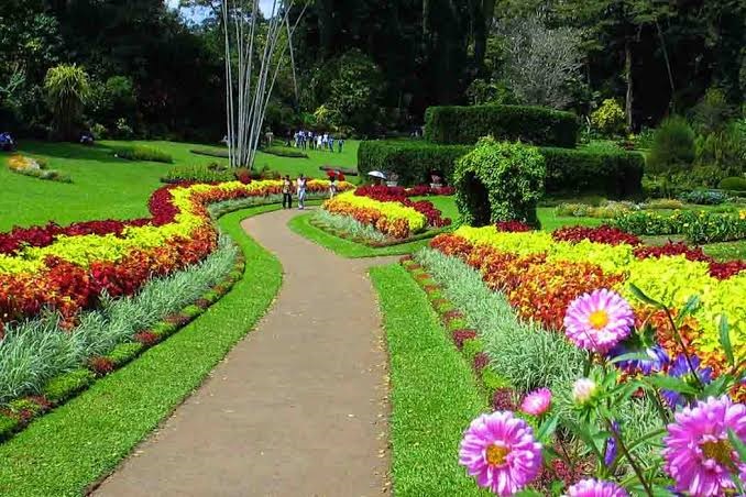 Peradeniya Royal Botanical Garden